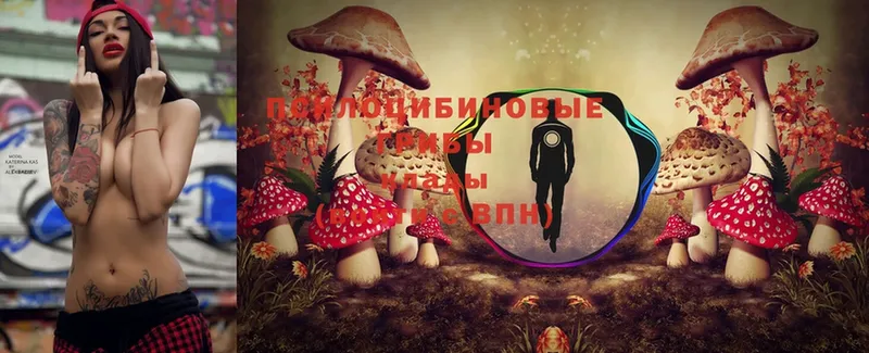 наркошоп  Красногорск  ссылка на мегу онион  Галлюциногенные грибы MAGIC MUSHROOMS 